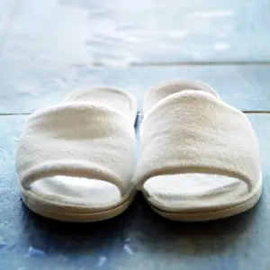 Slippers Print from SuperStock
