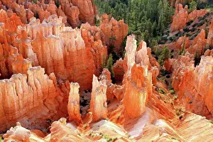 Bryce Canyon Hoodoos Prints: View of hoodoos and cliffs at dawn