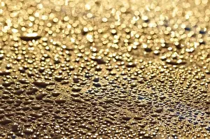 Images Dated 23rd July 2012: Waterdrops Print from SuperStock