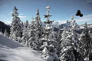 Nature Tourism Destinations Prints: Winter