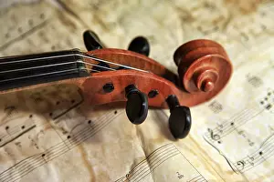 Stringed Musical Instrument Prints: 1937 old violin on the background of notes