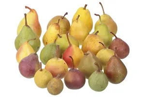 Diverse Fruit Selection Prints: 24 different varieties of pears