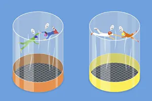 Extreme Sport Training Prints: 3D Isometric Flat Illustration of Skydivers
