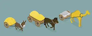Horse Riding Sport Prints: 3D Isometric Flat Vector Set of Draft Animals