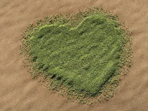 Symbolic Heart Image Prints: 3d-visualisation of a heart-shaped grass area on a sandy surface