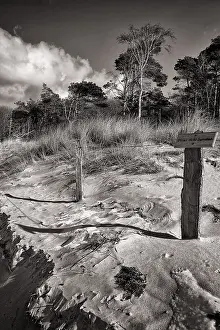 Deserted Baltic Sea Coast Prints: #50683487