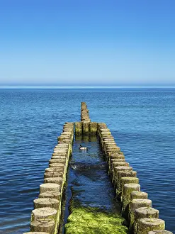 Groynes In Germany Prints: #50900036