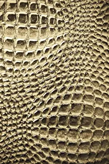 Close Up Macro Shot Prints: Abstract beige background