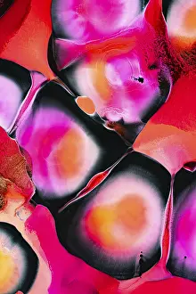 Vibrant Colors Prints: An abstract composition featuring vivid pink