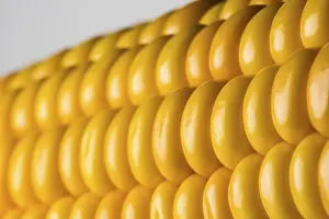 Agricultural Crop Images Prints: Abstract detail of corn on the cob