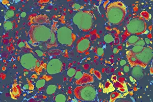Abstract Marble Texture Prints: Abstract creative marble pattern texture