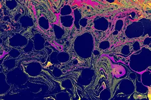 Abstract Background Texture Prints: Abstract creative marbling pattern for fabric