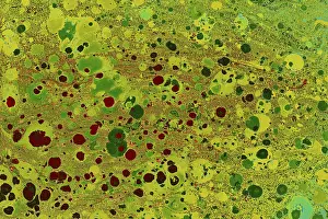 No People Background Graphic Prints: Abstract creative marbling pattern templat for fabric