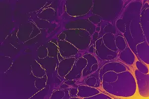 Fabric Design Background Prints: Abstract creative marbling pattern templat for fabric