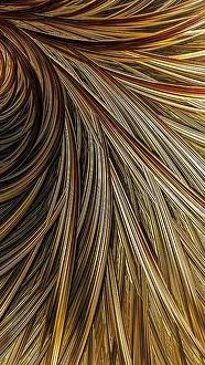 Fractal Geometry Images Prints: Abstract feather background - computer-generated image