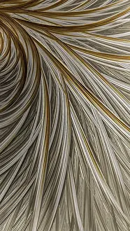 Abstract Feather Background Prints: Abstract feather background - computer-generated image