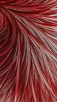 Fractal Geometry Images Prints: Abstract feather background - computer-generated image