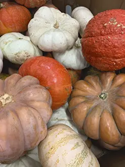 Colorful Fruits Prints: Abstract several gourds background