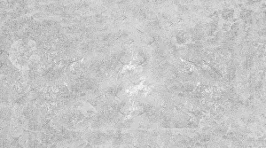 Deserted Concrete Landscape Prints: Abstract gray textured surface with a rough