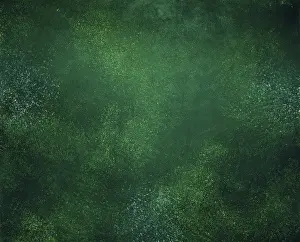 Uninhabited Full Format Image Prints: Abstract green background texture