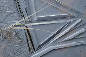 Ice Structures In Lapland Prints: Abstract ice structures, Norrbotten