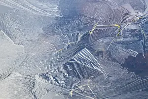 True Grasses In Winter Prints: Abstract ice structures and reed stalks