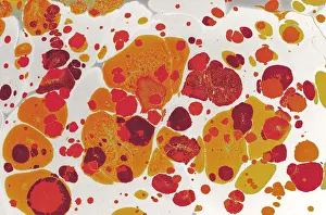 Abstract Background Image Prints: Abstract marbling pattern for fabric