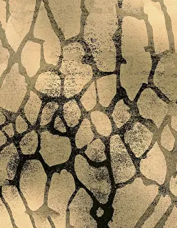 Cracked Earth Texture Prints: Abstract pattern featuring organic