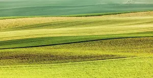 Central Europe Agriculture Scene Prints: Abstract pattern of rolling striped fields in summer