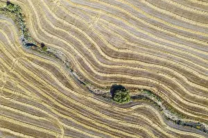 Agricultural Crop Patterns In Europe Prints: Abstract patterns in cornfield after wheat harvest