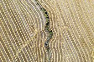 Agricultural Landscapes From Above Prints: Abstract patterns in cornfield after wheat harvest