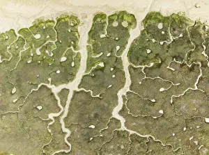 Wetland Biotope Andalusia Prints: Abstract patterns of dry streams at low tide