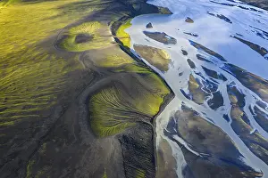 Abstract Nature Photography Prints: Abstract patterns of moss in black sand