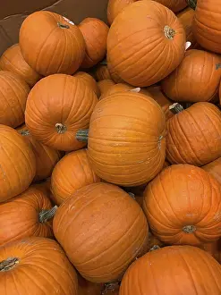 Autumn Background Image Prints: Abstract several pumpkin patch background