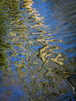 Water Reflection Photography Prints: Abstract reflection of a tree in the pond in a park