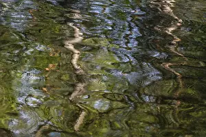 Jamtland Sweden Landscape Prints: Abstract reflections, Anderson
