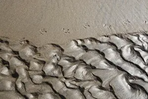 Scandinavian Landscape Prints: Abstract sand pattern background