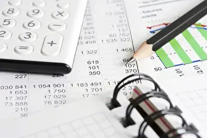 Annual Financial Reports Prints: Accounting