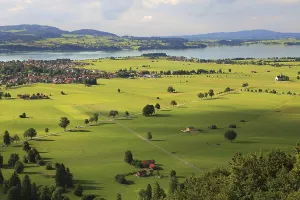 Prints of Aerial view on green fields and meadows in Germany Aerial View Prints: Aerial View Print of German Countryside