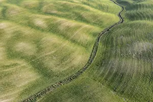 High Angle View Of Cultivated Area Prints: Aerial view, Hilly fields in spring