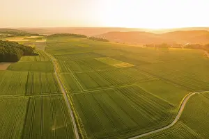 European Countryside Landscape Prints: Aerial view of large fields in warm