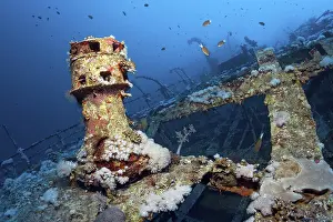 Red Sea Dive Sites Prints: Aida, wreck, deck superstructure
