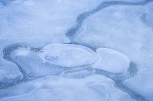 Air Bubbles In Ice Prints: Air bubbles in ice