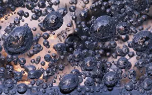 Hoarfrost Images Prints: Air bubbles in ice