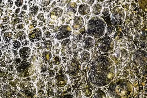 Austria Winter Landscape Prints: Air pockets, air bubbles and structures in ice
