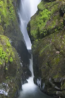 Close Up Nature Photography Prints: Detail of Aira Force Waterfall