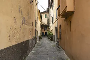 European Road Scenes Prints: Alte, gemutliche StraBe in Lucca
