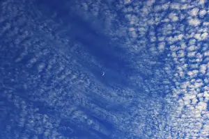 Fleecy Cloud Formations Prints: Altocumulus clouds with crescent moon