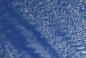 Fleecy Cloud Formations Prints: Altocumulus clouds with crescent moon