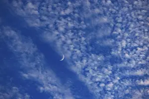 Fleecy Cloud Formations Prints: Altocumulus clouds with crescent moon